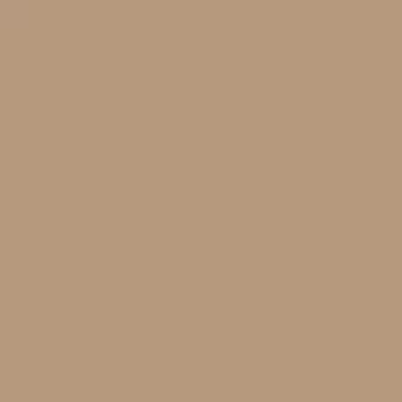 Solids Tamarind