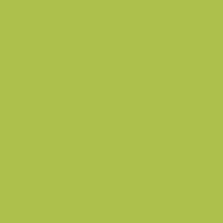 Lime Flannel Solid