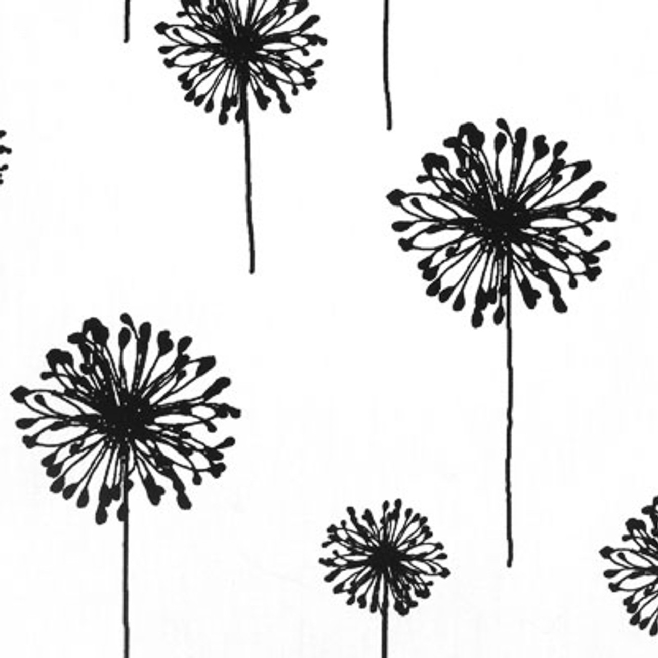 Product Image For DANDEWHBK-1.