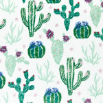 Product Image For DCSEWSUCCULENTIVY.