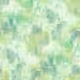 Image Thumb 1