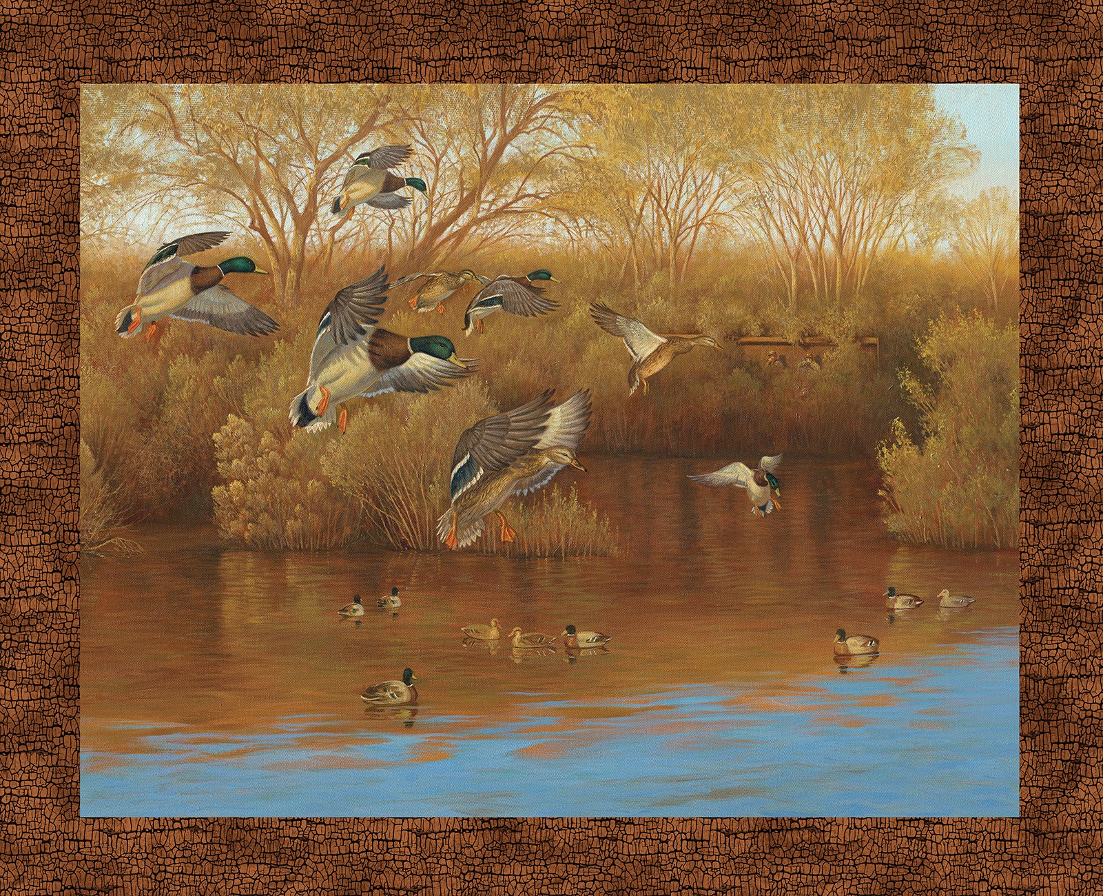 Product Image For DDC12832-MULT.