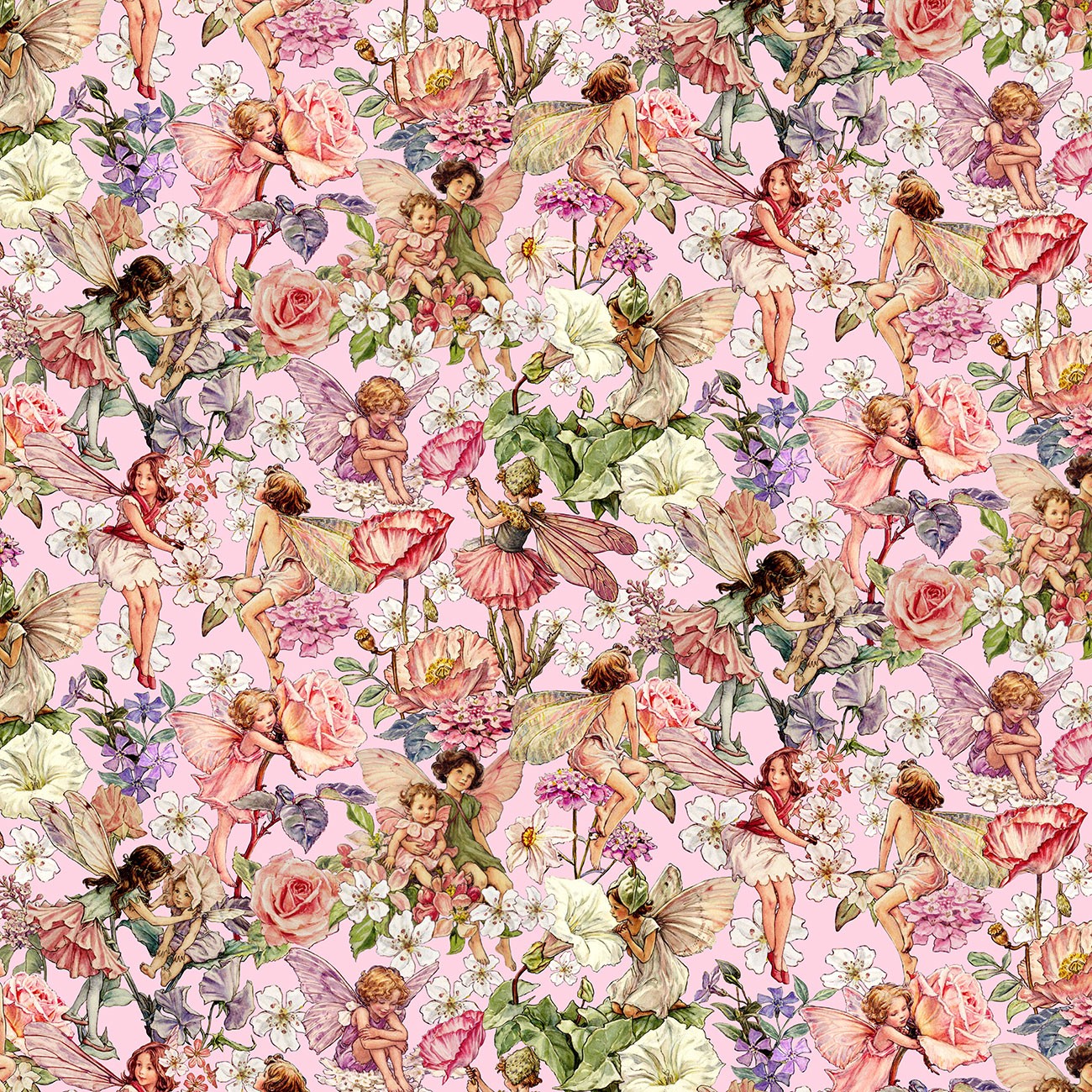 Product Image For DDC13364-BLOS.