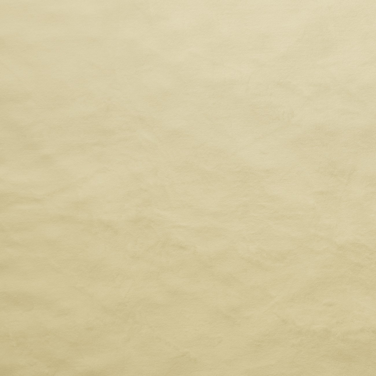 Product Image For E-SILKY-CAMEL.