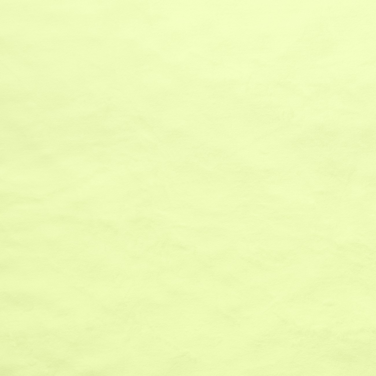 Product Image For E-SILKY-CELERY.