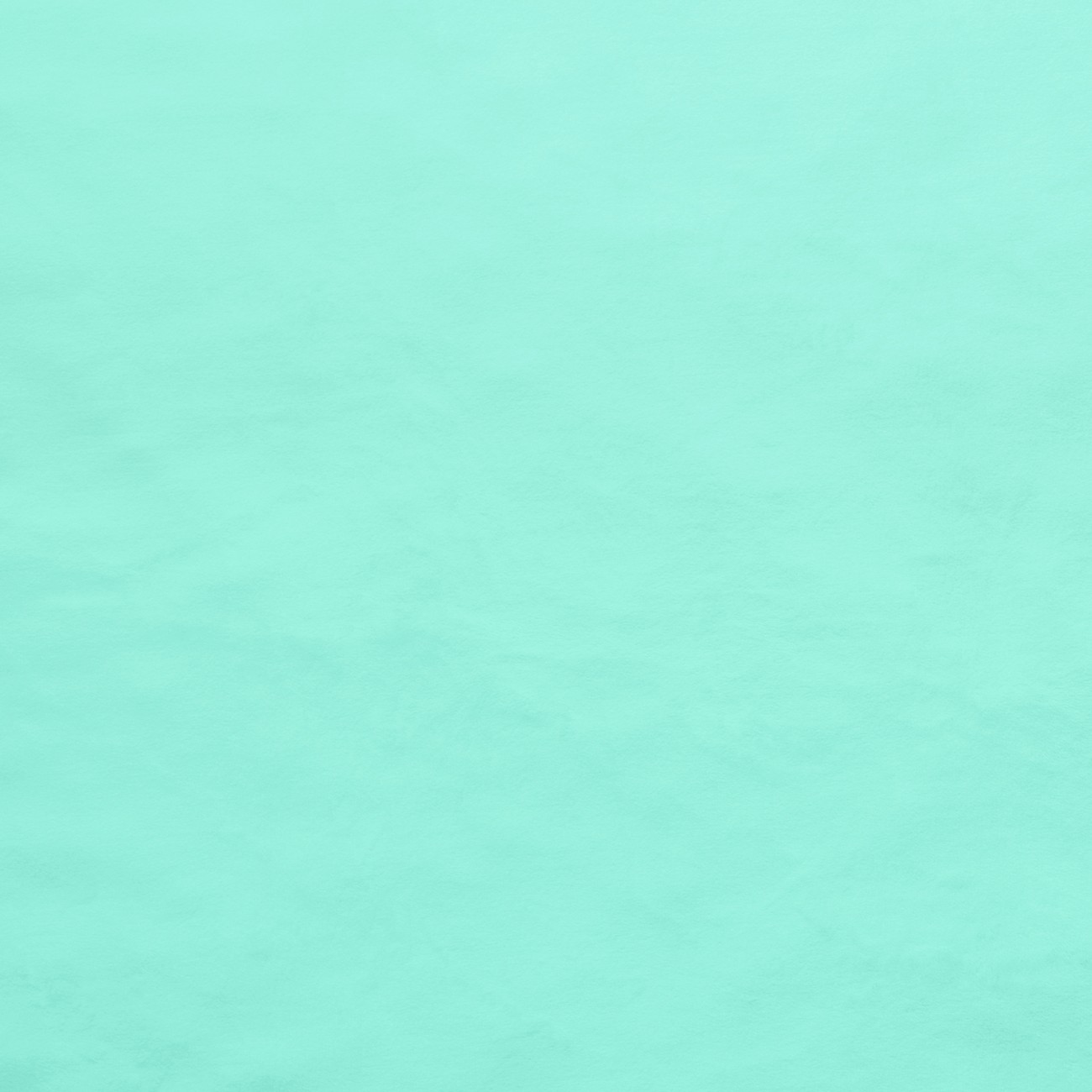 Product Image For E-SILKY-ROBINSEGG.