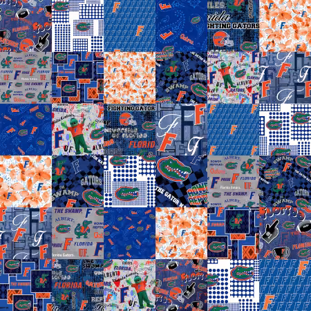 Florida Collegiate Cheater Quilt