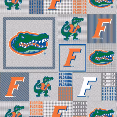 Heather Gray Florida Box All Over Fleece