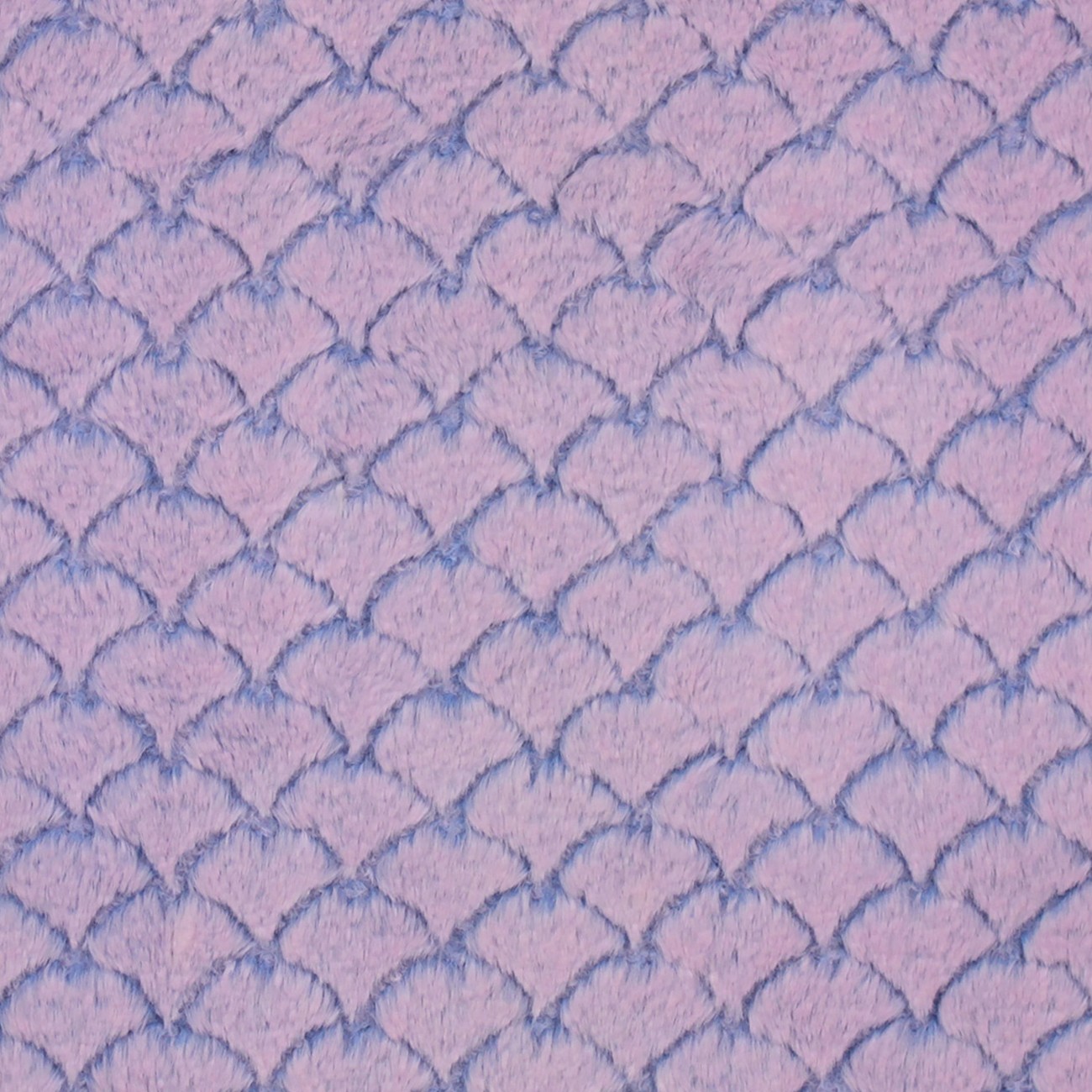 Product Image For FRENCHBLUEBLOOM.