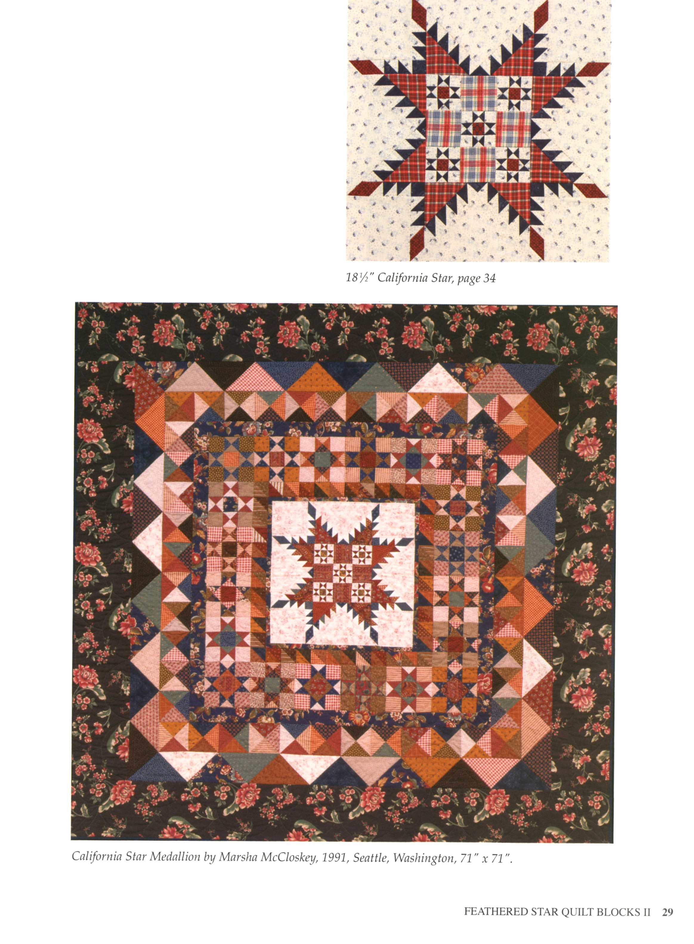 feathered-star-quilt-blocks-2-by-mccloskey-marsha