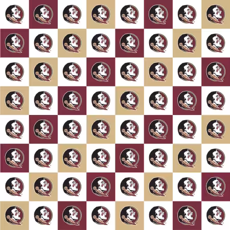 Florida State Seminoles Squares Digitally Printed