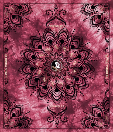 Florida State Collegiate Tapestry-48in x 56in