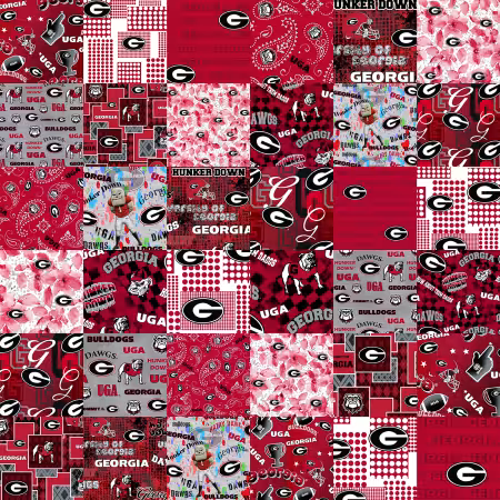 Georgia Collegiate Cheater Quilt