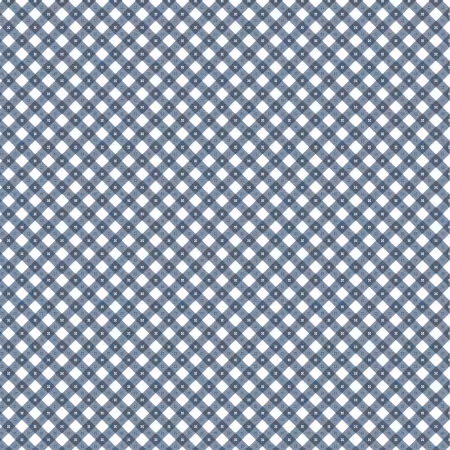 Blue Gingham Picnic