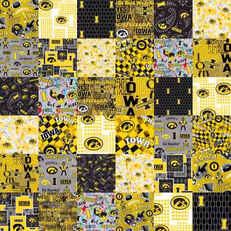 Iowa Collegiate Cheater Quilt