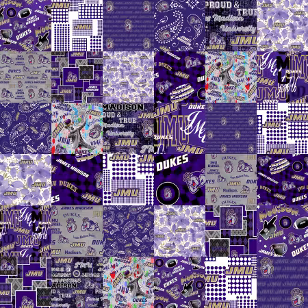 James Madison Collegiate Cheater Quilt