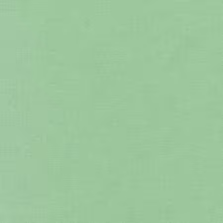 Asparagus Solid K001-348