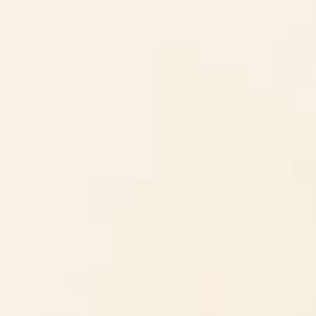 Bone Solid K001-1037