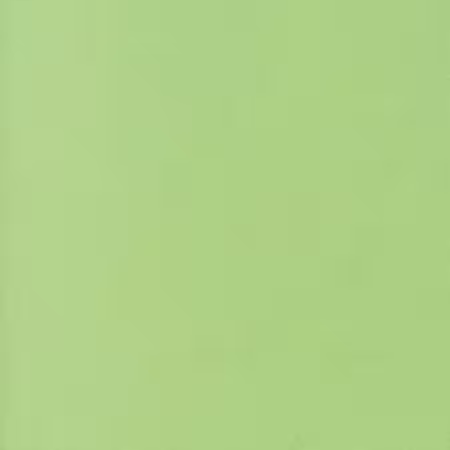 Cabbage Solid K001-472