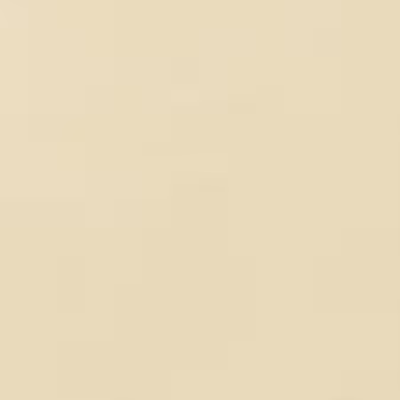 Champagne Solid K001-1069