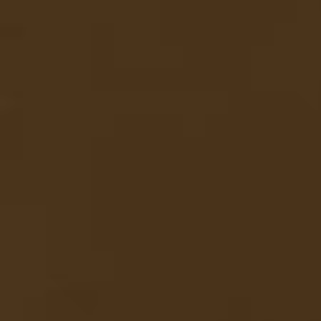 Chestnut Solid K001-407