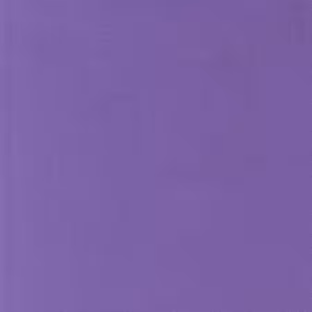 Crocus Solid K001-142