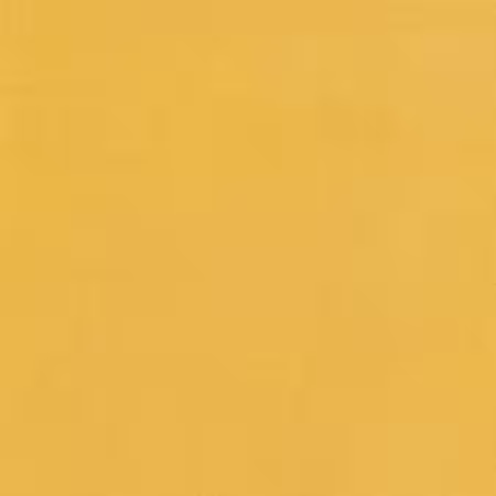 Curry Solid K001-1677