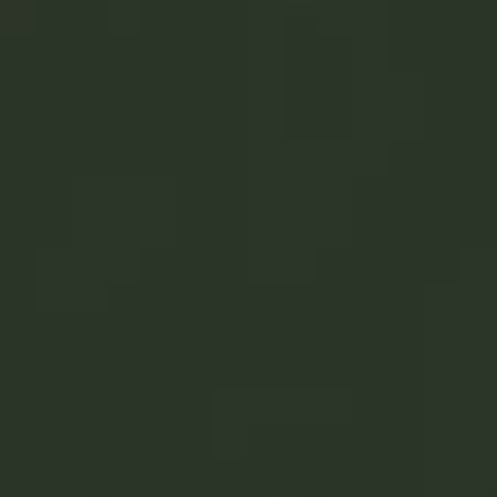 Evergreen Solid K001-1137