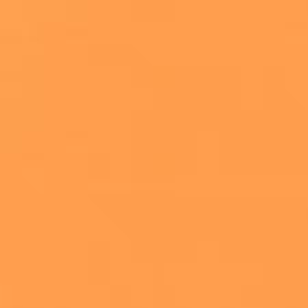 Goldfish Solid K001-474