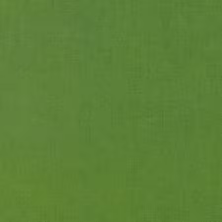 Grass Green Solid K001-1703