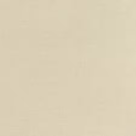 Khaki Solid K001-1187
