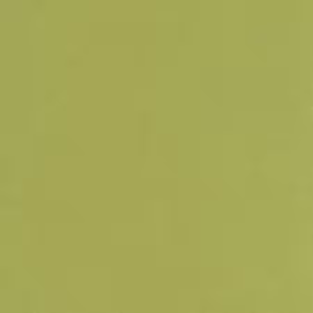 Olive Solid K001-1263