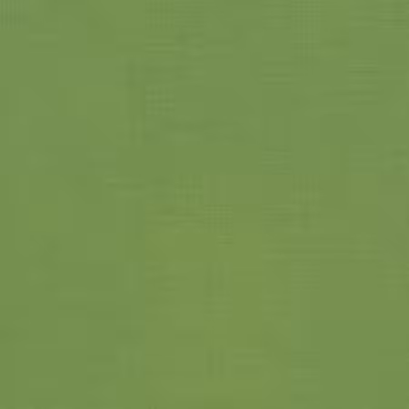 Peridot Solid K001-317