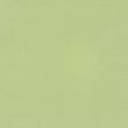 Tarragon Solid K001-316