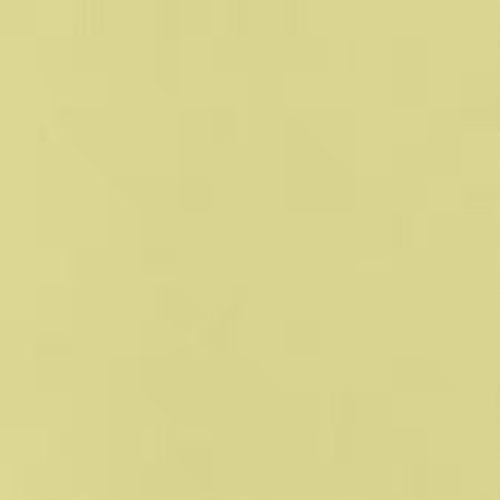 Zucchini Solid K001-354
