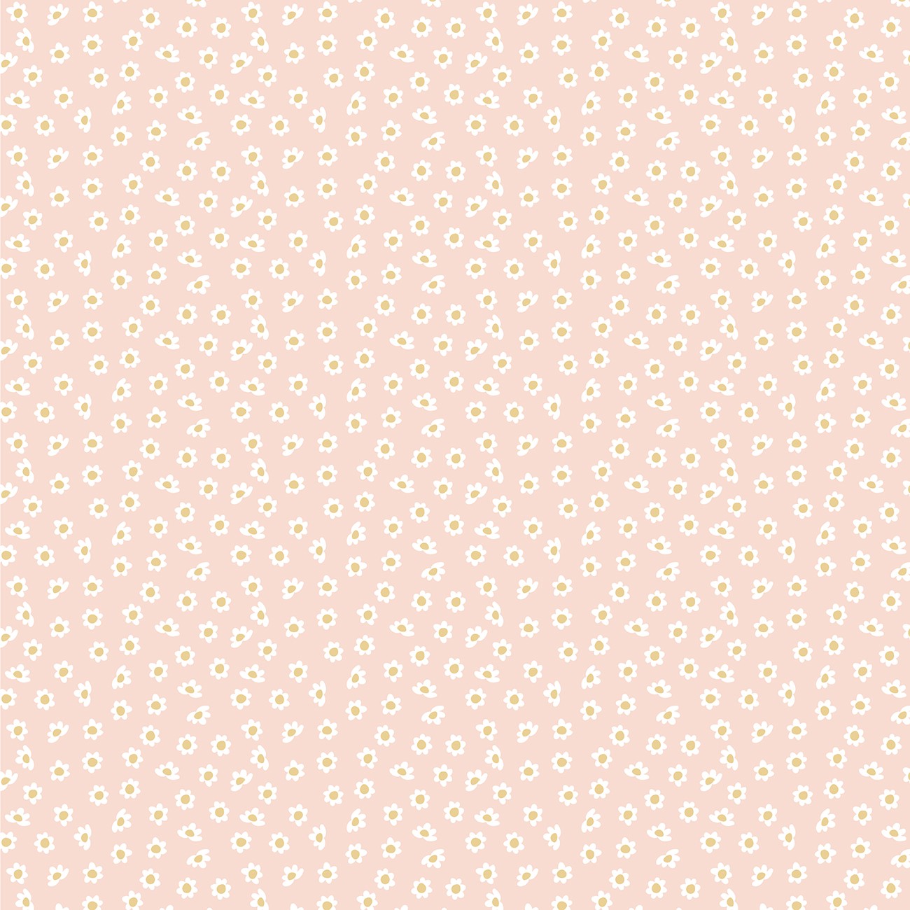 Product Image For KS261008.