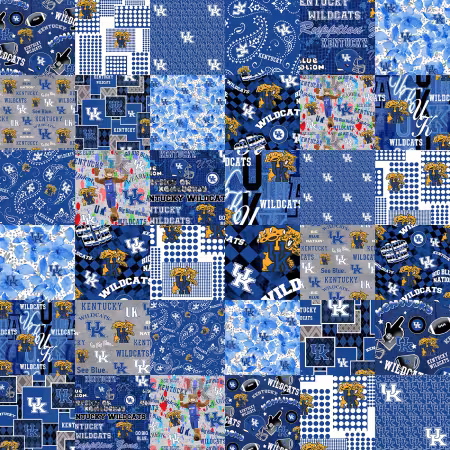 Kentucky Collegiate Cheater Quilt