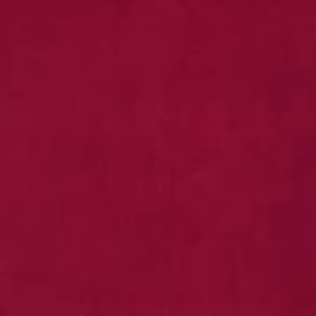 Solid Cabernet Lush Velveteen 55in Wide