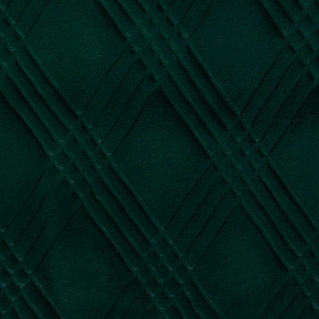 Product Image For LCQUINNCYPRESS.