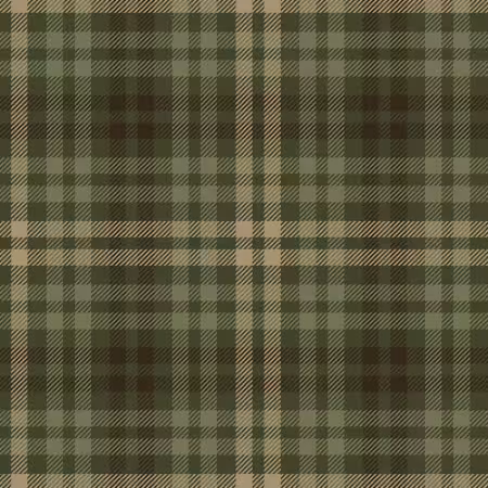 Green Plaid Minky