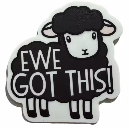 Ewe Got This 4pk