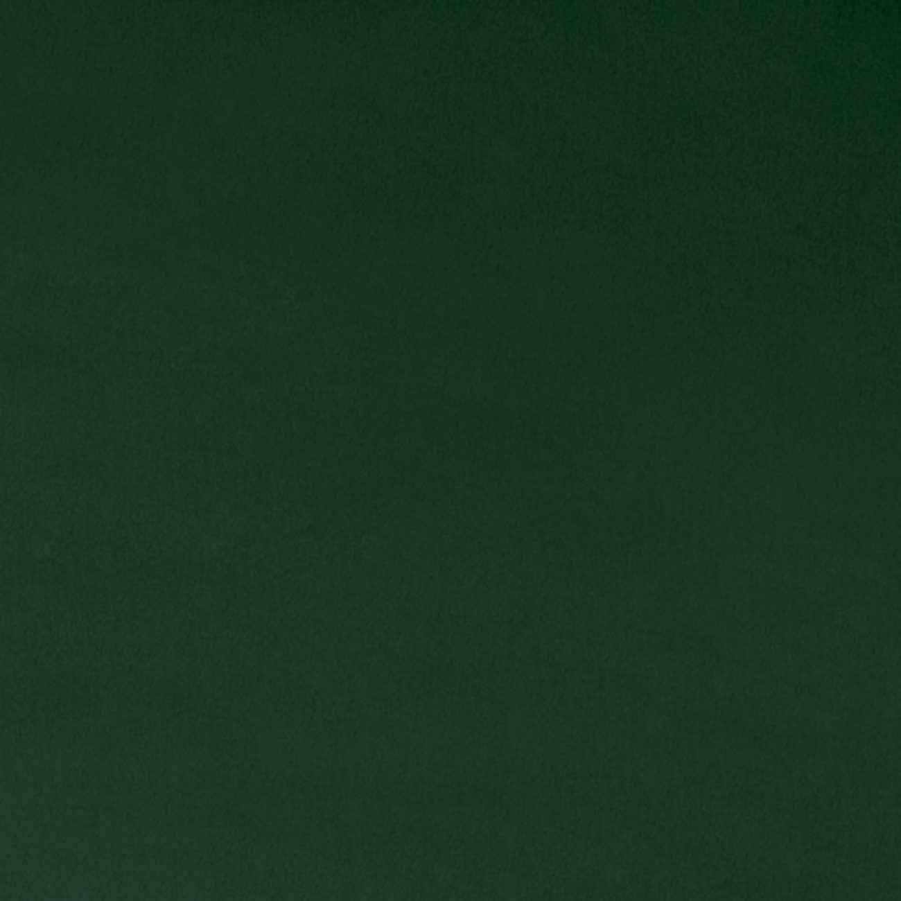 Product Image For MCFOREST.