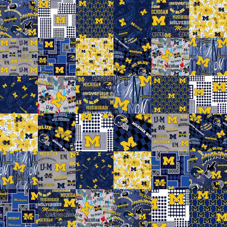 Michigan Collegiate Cheater Quilt