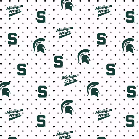 NCAA-Michigan state Pin Dot ctn ao