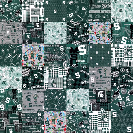 Michigan State Collegiate Cheater Quilt