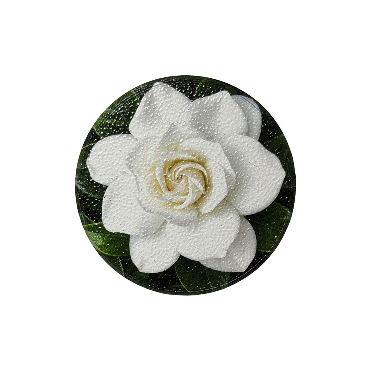 Product Image For MSMP.