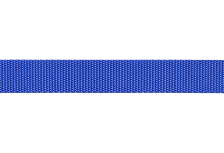 Nylon Webbing 1in Royal 20yds