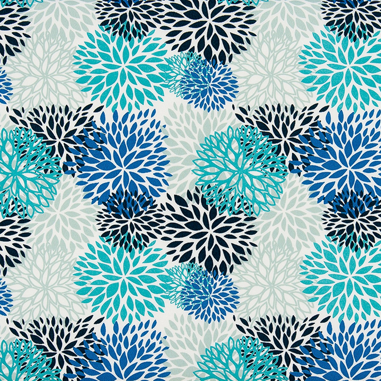 Product Image For OBLOOMSBLVI-1.