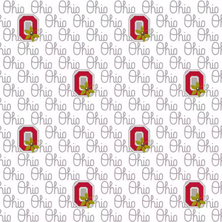 NCAA-Ohio State White Block Letter Digital Cotton
