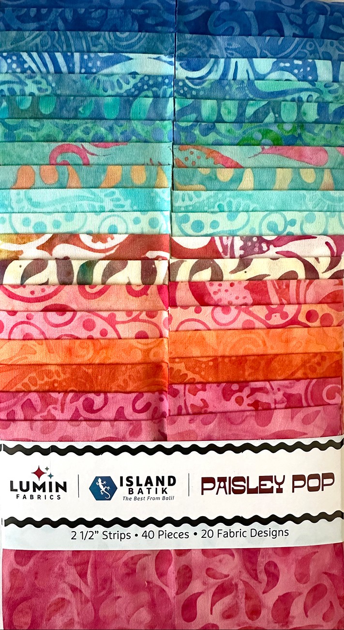 2.5in Strips Paisley Pop 40pcs